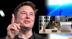 W_9umd2FpXs.jpg W_9umd2FpXs.jpg